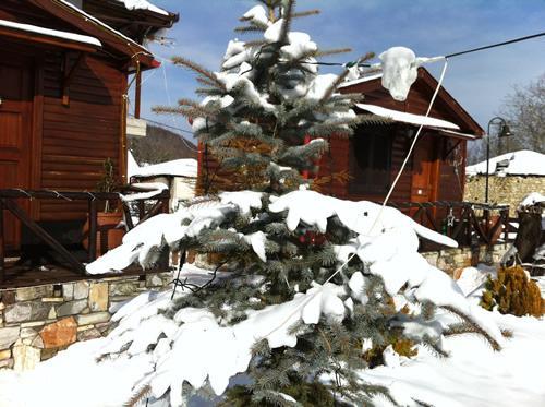 Chalet Parea Metamorfosi  Buitenkant foto